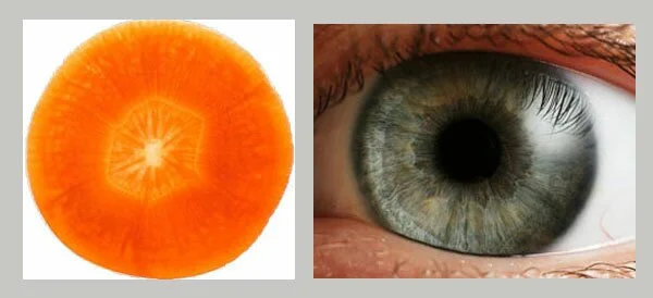 carrots-for-eyes