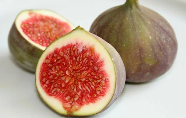 figs-for-male-fertility