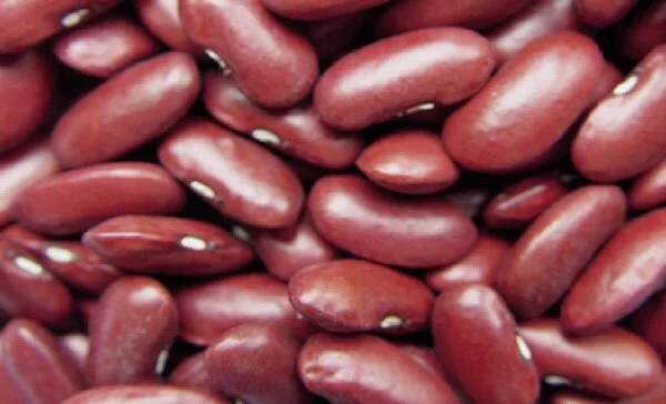 kidney-beans-for-kidney