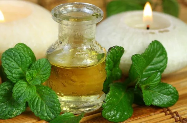 peppermint-oil